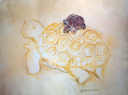 Tortoise 005